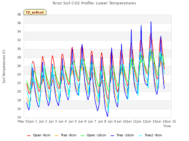 plot of Tonzi Soil CO2 Profile: Lower Temperatures