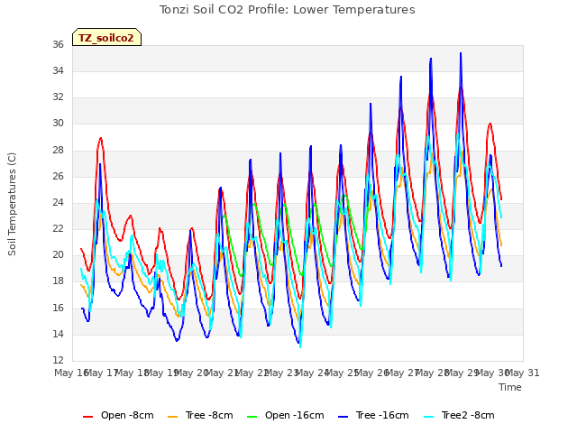 plot of Tonzi Soil CO2 Profile: Lower Temperatures