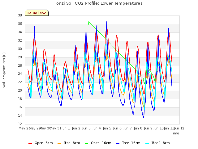 plot of Tonzi Soil CO2 Profile: Lower Temperatures