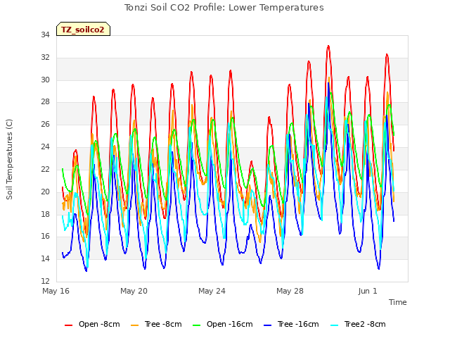 Explore the graph:Tonzi Soil CO2 Profile: Lower Temperatures in a new window