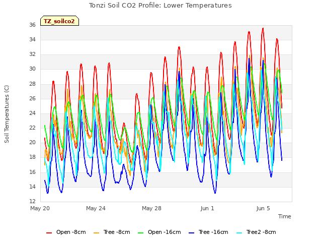 Explore the graph:Tonzi Soil CO2 Profile: Lower Temperatures in a new window