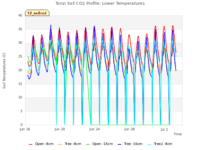 Explore the graph:Tonzi Soil CO2 Profile: Lower Temperatures in a new window