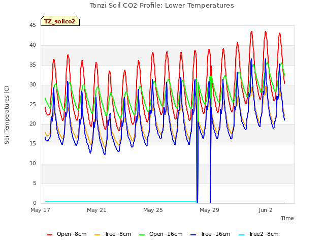 Explore the graph:Tonzi Soil CO2 Profile: Lower Temperatures in a new window