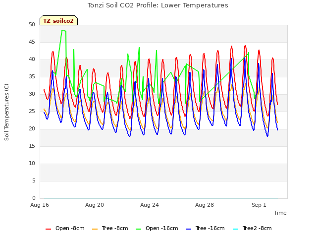 Explore the graph:Tonzi Soil CO2 Profile: Lower Temperatures in a new window