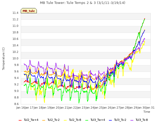 plot of MB Tule Tower: Tule Temps 2 & 3 (3/1/11-3/19/14)