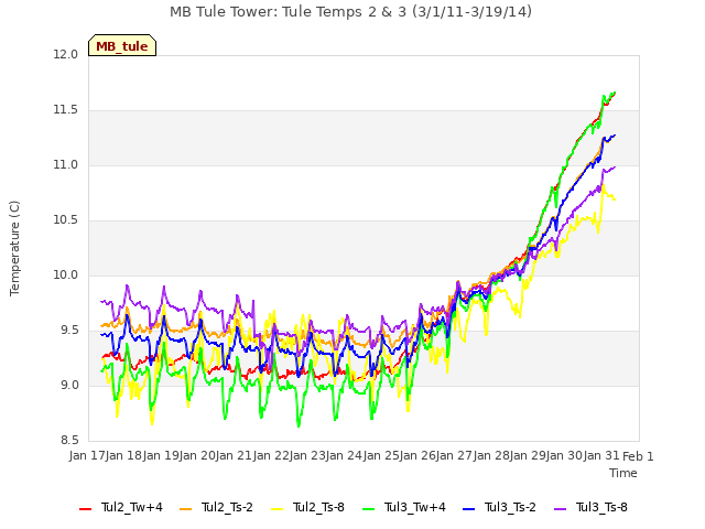 plot of MB Tule Tower: Tule Temps 2 & 3 (3/1/11-3/19/14)