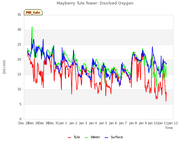 plot of Mayberry Tule Tower: Disolved Oxygen