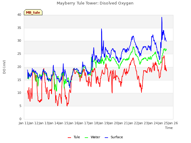 plot of Mayberry Tule Tower: Disolved Oxygen