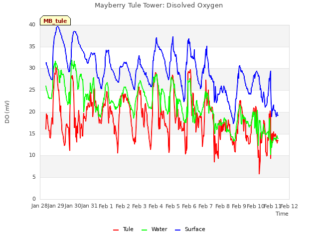 plot of Mayberry Tule Tower: Disolved Oxygen