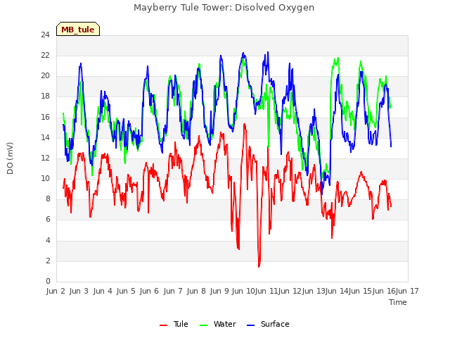 plot of Mayberry Tule Tower: Disolved Oxygen