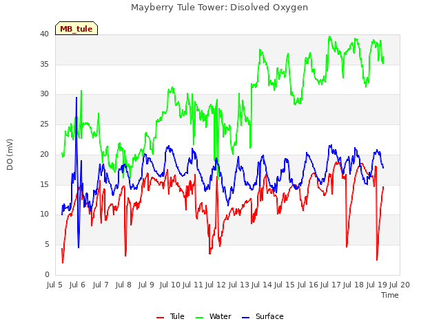 plot of Mayberry Tule Tower: Disolved Oxygen