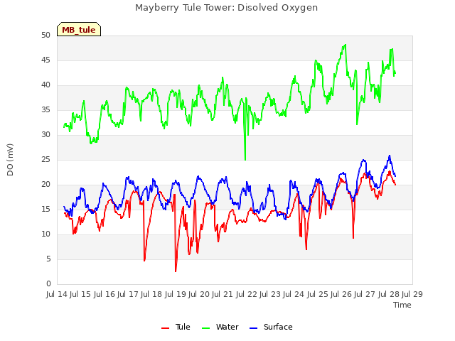 plot of Mayberry Tule Tower: Disolved Oxygen