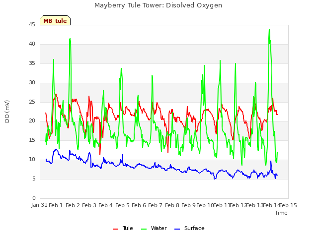 plot of Mayberry Tule Tower: Disolved Oxygen