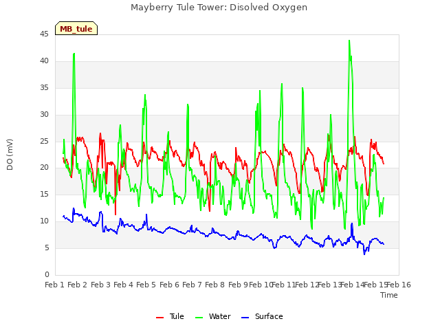 plot of Mayberry Tule Tower: Disolved Oxygen