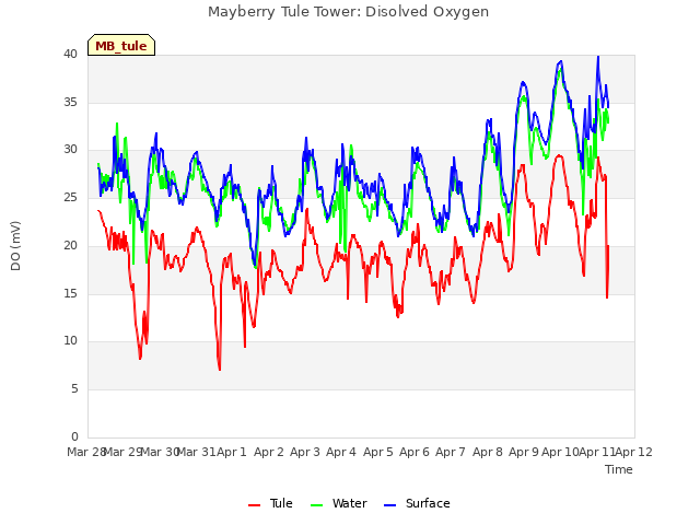 plot of Mayberry Tule Tower: Disolved Oxygen