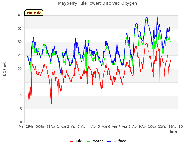 plot of Mayberry Tule Tower: Disolved Oxygen