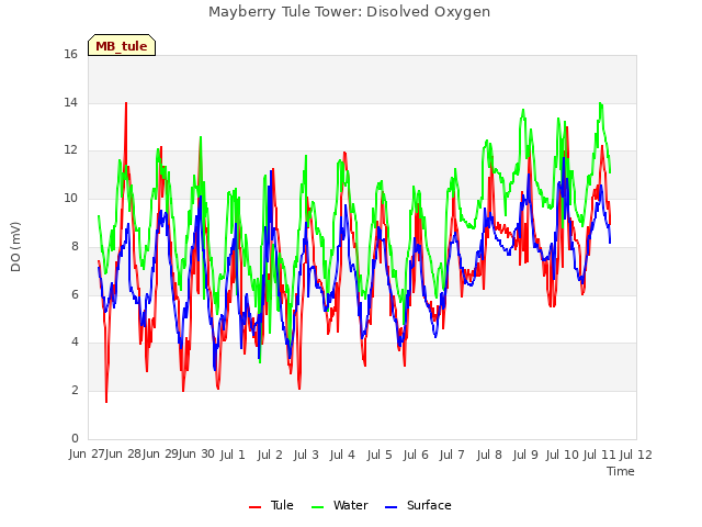 plot of Mayberry Tule Tower: Disolved Oxygen