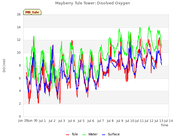 plot of Mayberry Tule Tower: Disolved Oxygen