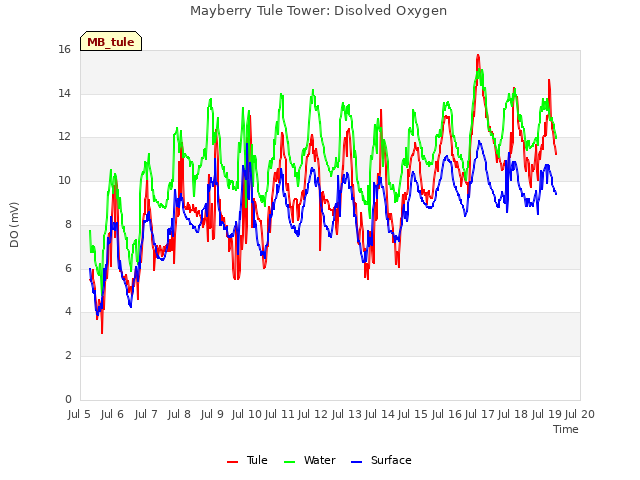 plot of Mayberry Tule Tower: Disolved Oxygen