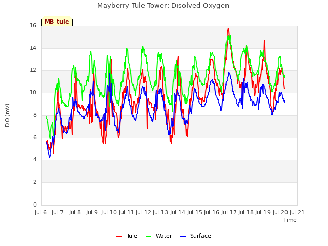 plot of Mayberry Tule Tower: Disolved Oxygen