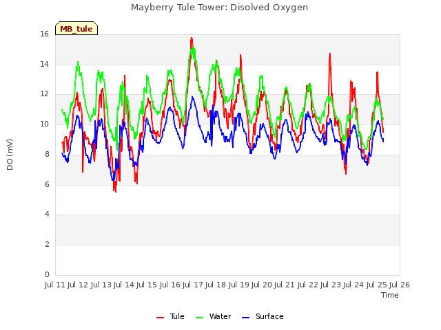 plot of Mayberry Tule Tower: Disolved Oxygen