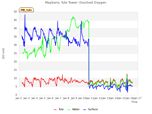 plot of Mayberry Tule Tower: Disolved Oxygen