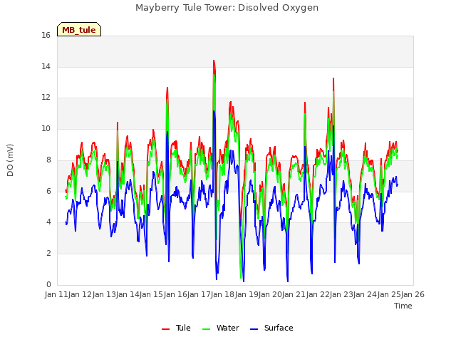 plot of Mayberry Tule Tower: Disolved Oxygen