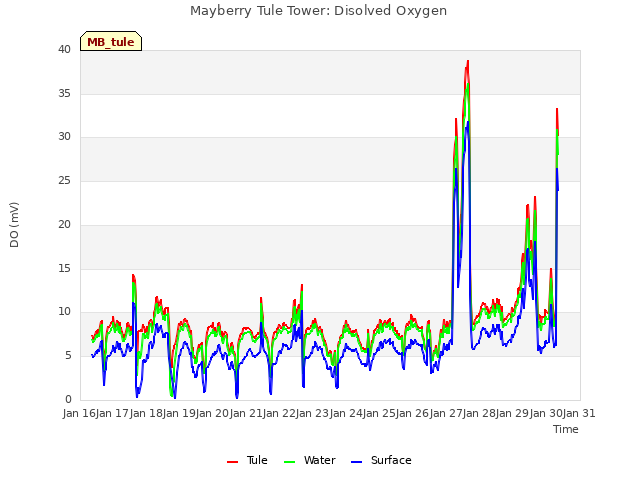plot of Mayberry Tule Tower: Disolved Oxygen