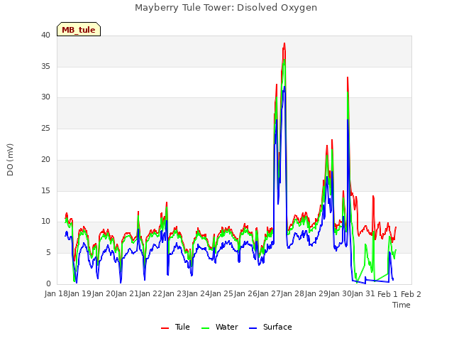 plot of Mayberry Tule Tower: Disolved Oxygen