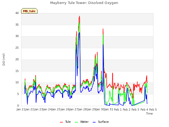 plot of Mayberry Tule Tower: Disolved Oxygen