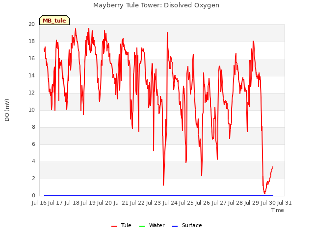 plot of Mayberry Tule Tower: Disolved Oxygen