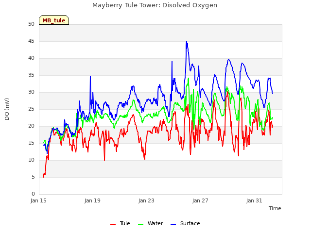 Explore the graph:Mayberry Tule Tower: Disolved Oxygen in a new window
