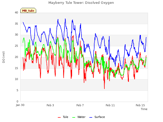 Explore the graph:Mayberry Tule Tower: Disolved Oxygen in a new window