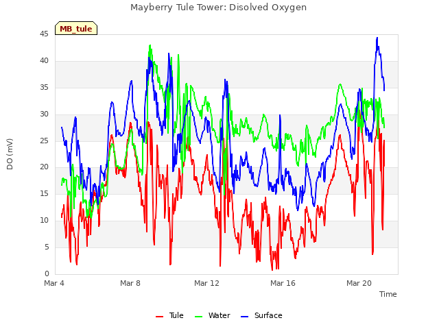 Explore the graph:Mayberry Tule Tower: Disolved Oxygen in a new window
