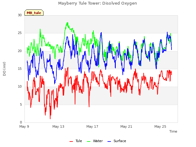 Explore the graph:Mayberry Tule Tower: Disolved Oxygen in a new window