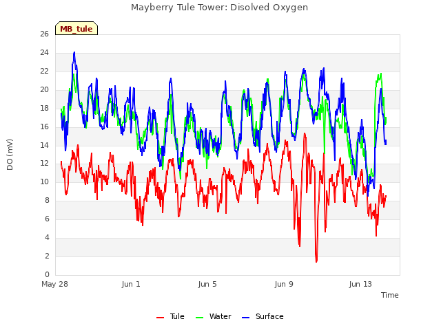 Explore the graph:Mayberry Tule Tower: Disolved Oxygen in a new window