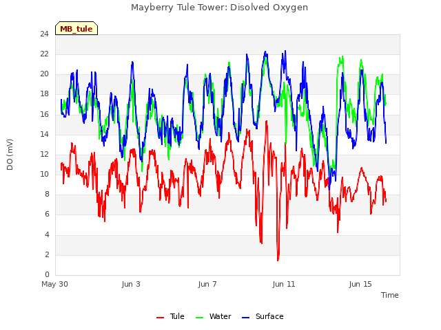 Explore the graph:Mayberry Tule Tower: Disolved Oxygen in a new window