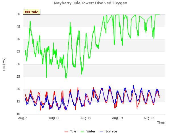 Explore the graph:Mayberry Tule Tower: Disolved Oxygen in a new window