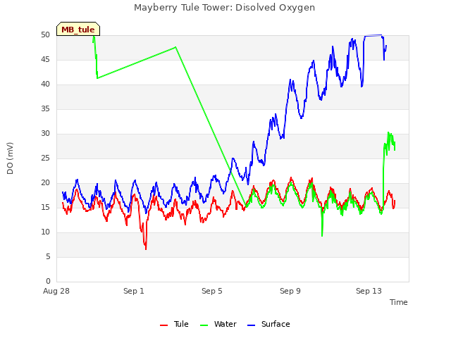 Explore the graph:Mayberry Tule Tower: Disolved Oxygen in a new window