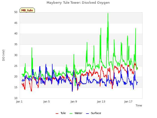 Explore the graph:Mayberry Tule Tower: Disolved Oxygen in a new window