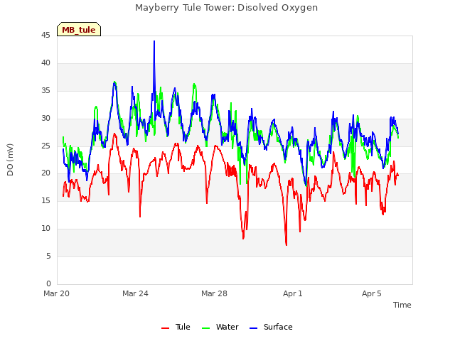Explore the graph:Mayberry Tule Tower: Disolved Oxygen in a new window
