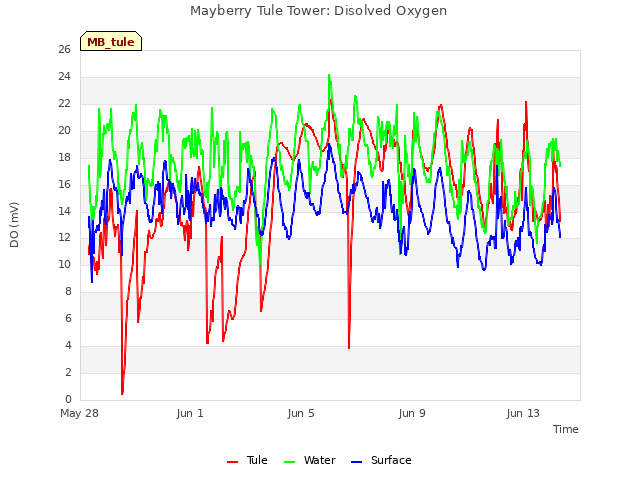 Explore the graph:Mayberry Tule Tower: Disolved Oxygen in a new window
