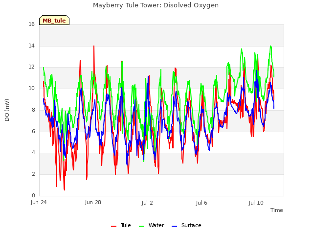 Explore the graph:Mayberry Tule Tower: Disolved Oxygen in a new window