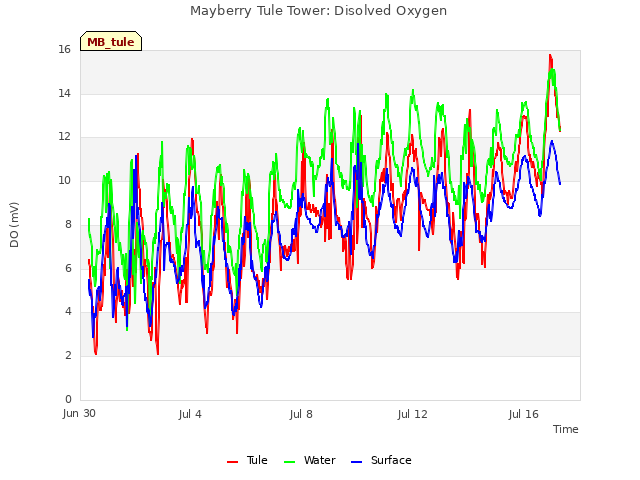 Explore the graph:Mayberry Tule Tower: Disolved Oxygen in a new window