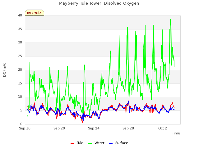 Explore the graph:Mayberry Tule Tower: Disolved Oxygen in a new window