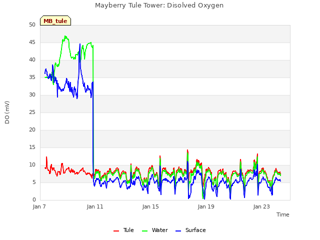 Explore the graph:Mayberry Tule Tower: Disolved Oxygen in a new window