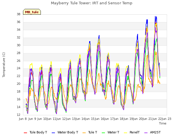 plot of Mayberry Tule Tower: IRT and Sensor Temp