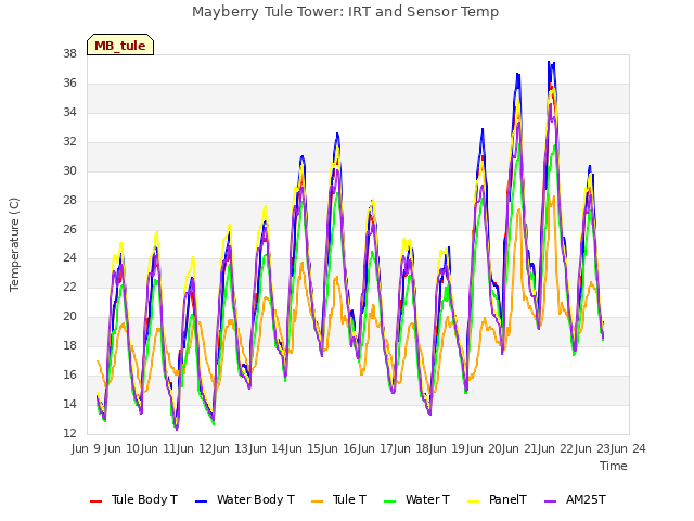 plot of Mayberry Tule Tower: IRT and Sensor Temp