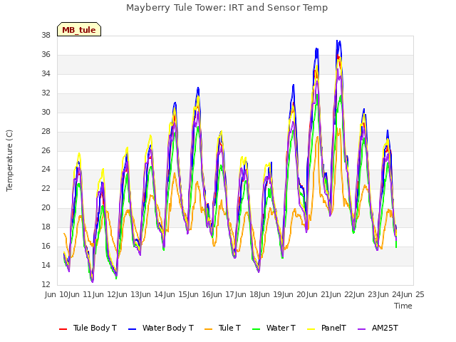 plot of Mayberry Tule Tower: IRT and Sensor Temp