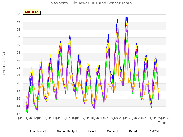 plot of Mayberry Tule Tower: IRT and Sensor Temp